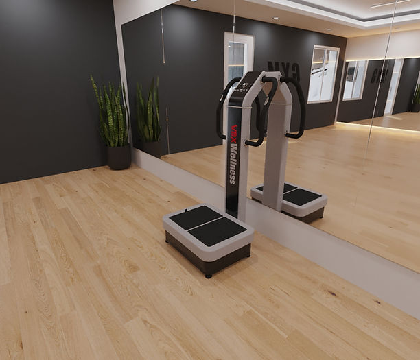 VBX Wellness VBX4000 Vibration Plate Machine