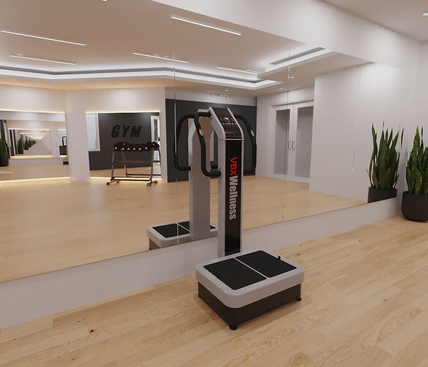 VBX Wellness VBX4000 Vibration Plate Machine