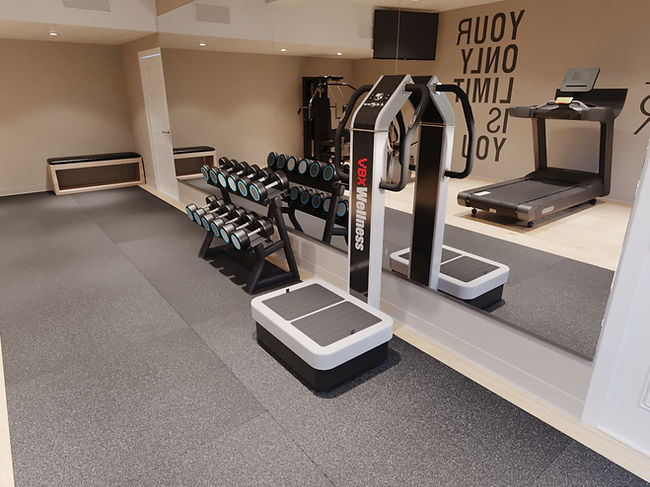 VBX Wellness VBX4000 Vibration Plate Machine