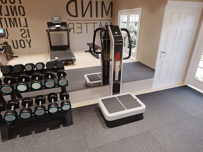VBX Wellness VBX4000 Vibration Plate Machine