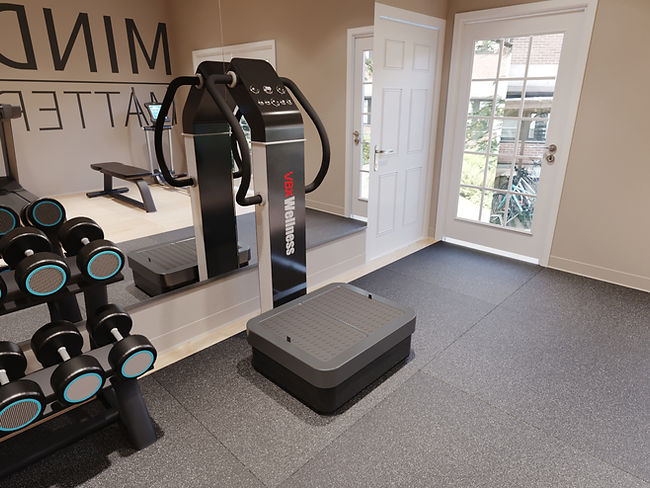 Vbx wellness vibration machine sale